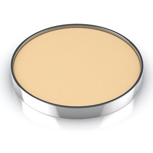 Ombres & Lumieres Powder Texture