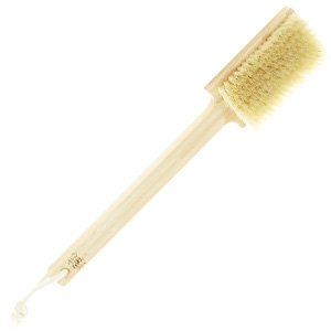 Bath brush fixed handle and ecological bristles