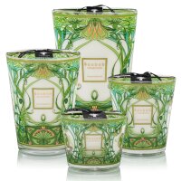 Baobab Collection Candle Tomorrowland