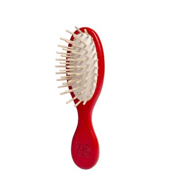 Little oval purse brush red
