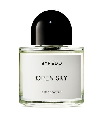 Open Sky