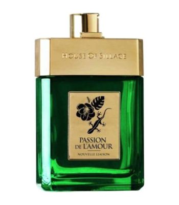 Passion De L'Amour Nouvelle Liaison