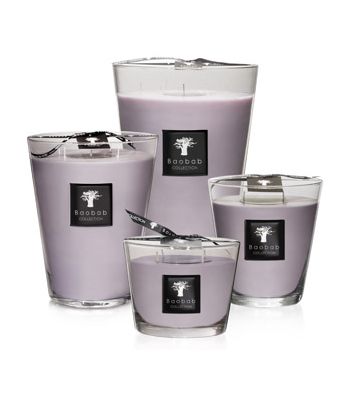Candle White Rhino