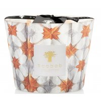 Baobab Collection Candle Max 10 Calypso Odyssee